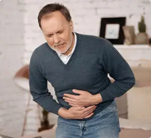 Illustration de la nouvelle découverte digestive.