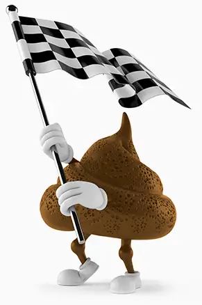 Illustration du processus digestif.